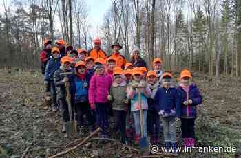 Weismainer Schüler legen den Wald der Zukunft an