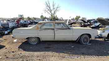 Junkyard Gem: 1965 Chevrolet Chevelle Malibu Sedan
