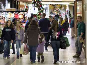 Saskatoon police warn Christmas shoppers to keep theft prevention in mind