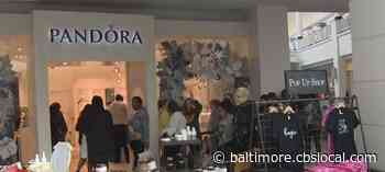 Ravens Pep Rally In Cockeysville Pumps Up Fans Ahead Of Sunday’s Game Against 49ers