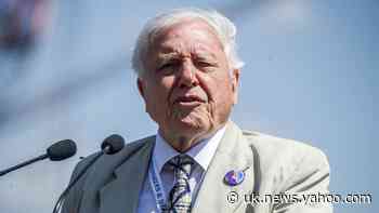 Attenborough: Boris Johnson’s absence from climate debate was shameful