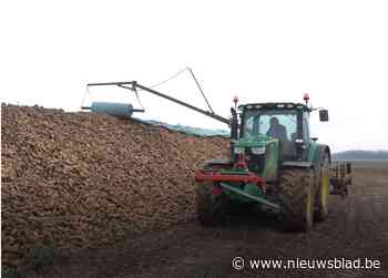 Suikerbiettelers gaan met "Operatie Rouwband" naar Agribex