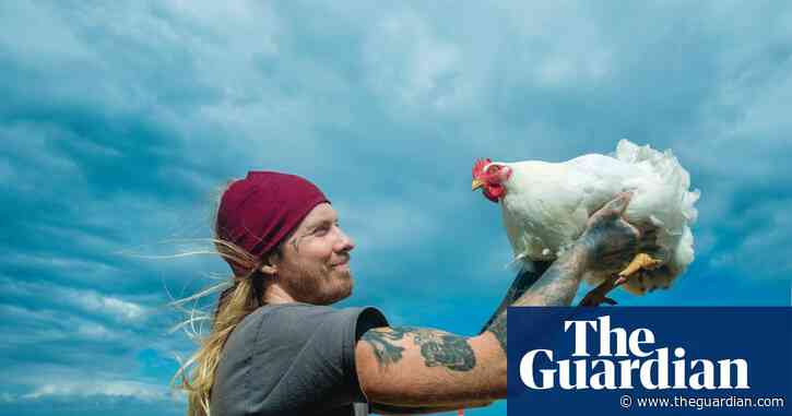 Chickens rule: why the backyard chook is the pet of the decade