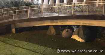 Man chases away people throwing stones at homeless living in tents beneath Swansea bridge