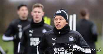 Newcastle United news RECAP: Bruce issues hands-off warning for Gayle; Guardiola's Magpies verdict