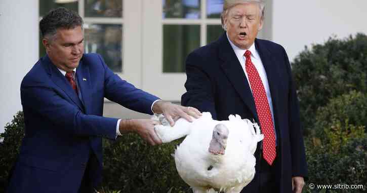 Paul Krugman: Why Trump should hate Thanksgiving