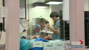 Kenney government signals that hundreds of Alberta nurses will be laid off