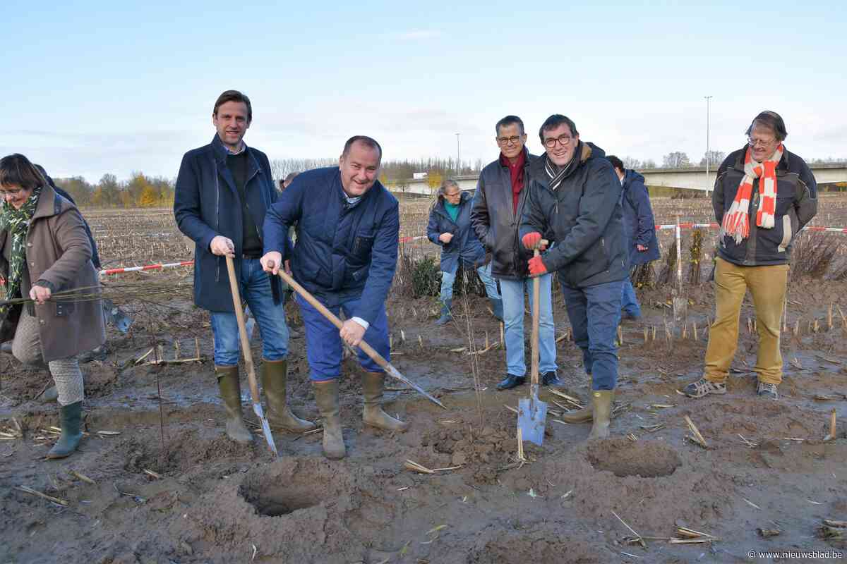17.000 bomen vormen samen nieuw Schoondalbos