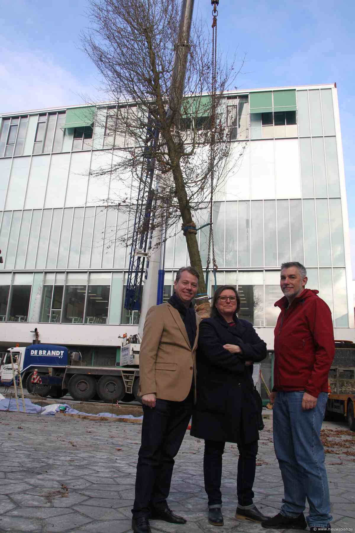 Grote moeraseik is eerste stap voor groen Turnova
