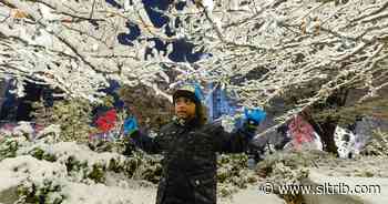 See photos as Salt Lake City’s Temple Square lights up for holiday