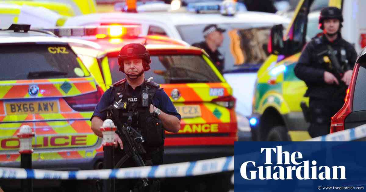 London Bridge attack: swift review of violent crime sentences pledged
