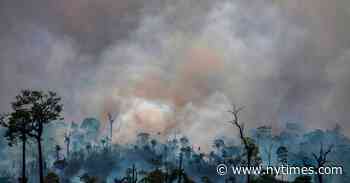 Brazil’s Leader Falsely Blames Leonardo DiCaprio for Amazon Fires