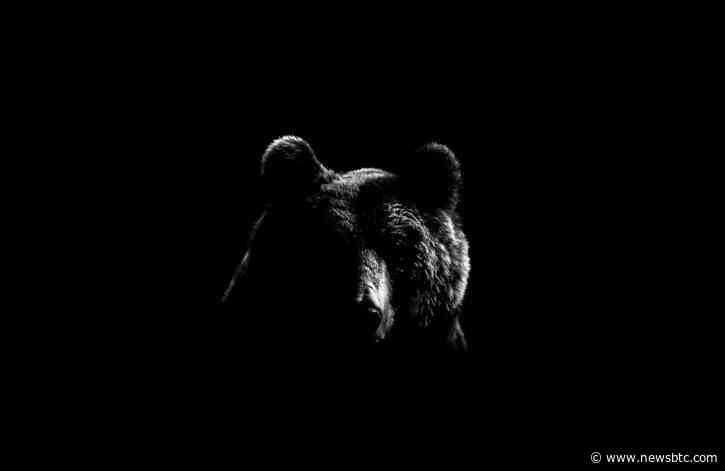 Quitting Crypto Now is Akin to Selling Amazon in 2003: Analyst