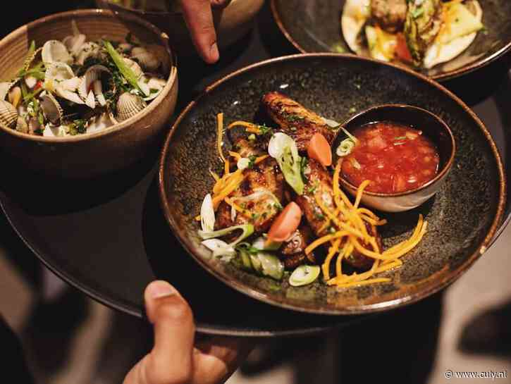 Café DoDo in Rotterdam is dé plek voor alle paradijsvogels