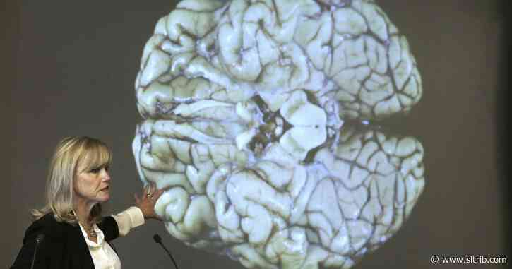 David Brooks: The wisdom your body knows