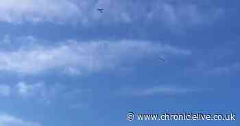 What did the flag say which flew over St James' Park before Newcastle's clash with Man City?