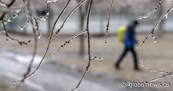 London to greet December with freezing rain: Environment Canada