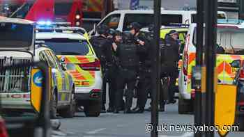 PM warns early release ‘not working’ as London Bridge attacker was freed to kill