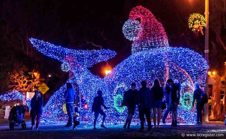 662,000 lights gleaming in Dana Point Harbor for the holidays and there’s more to come