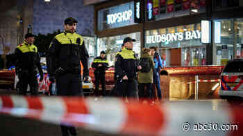 Dutch police arrest suspect in stabbing of 3 teens