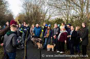 Community says 'enough is enough' to dog poisonings on Comber Greenway
