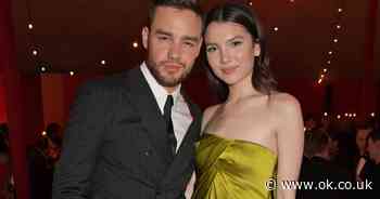 Liam Payne 'jumped by three bouncers' on night out with girlfriend Maya Henry