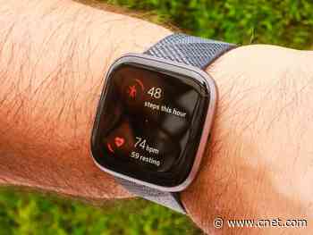 Black Friday 2019 Costco deals on Saturday include Dell, Fitbit, Sonos discounts and more     - CNET