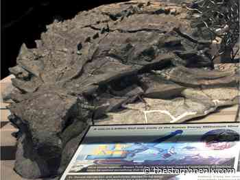 Public lecture discusses discovery of world's best-preserved armored dinosaur