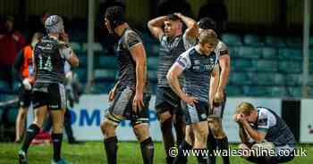 Ospreys 13 - 18 Cheetahs: Troubled Welsh region crash to another defeat