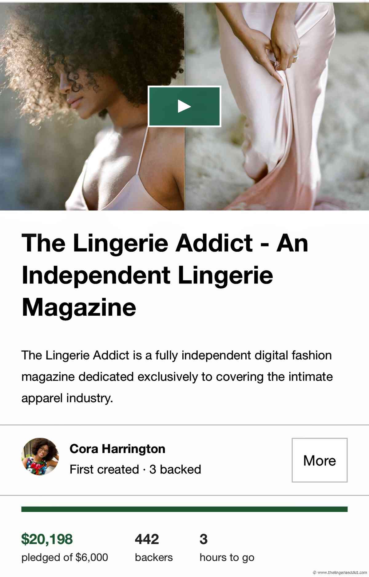 Last Call: Only 3 Hours Left for The Lingerie Addict Kickstarter!
