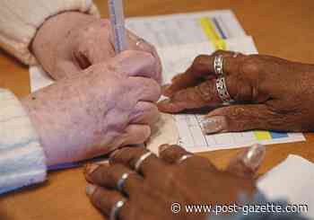 Taking the edge off loneliness and forging a bond of friendship