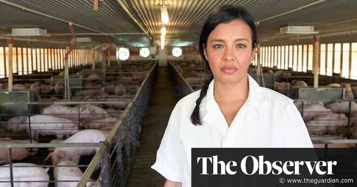 The week in TV: Meat: A Threat to our Planet?; Bikram: Yogi, Guru, Predator, and more