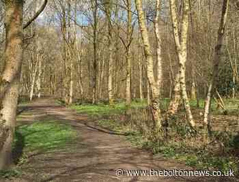 Bolton recommends: Five woodland walks