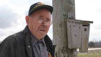 91-year-old spends retirement building 900 birdhouses — and counting