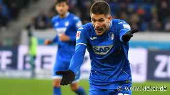 "Das ist nicht das Hoffenheim, das wir sehen wollen"