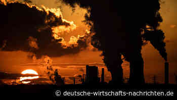 Mittelstand fordert mehr Mut beim Klimaschutz