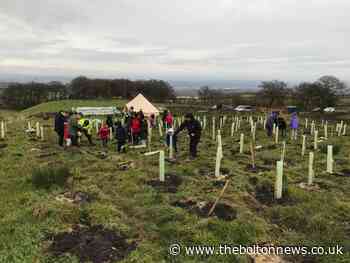 Volunteers plant 3,000 trees on Smithills Estate in ONE day