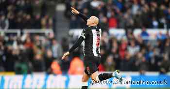 'Superb footballer' - Alex McLeish lavishes praise on Newcastle United goalscorer Jonjo Shelvey