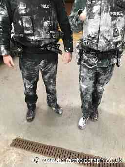 Lisburn PSNI officers doused in paint and set upon by dogs