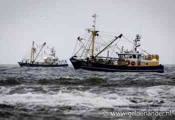 Dubbel gevoel na vondst lichamen in gezonken kotter: ‘Zekerheid die ze liever niet hadden’