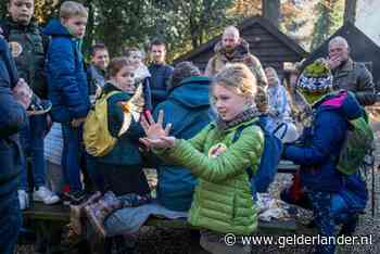 Hoe geef je een vogel een ring