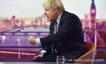 How accurate were Johnson's Andrew Marr interview claims?
