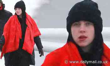 Billie Eilish enjoys her holiday weekend with a walk through the snowy Angeles National Forest