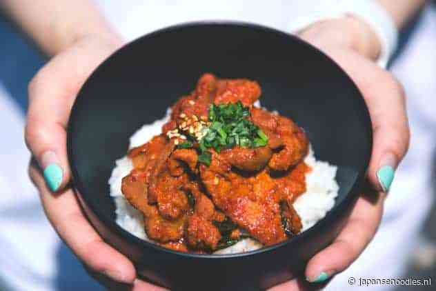Japanse curry recepten | rund, tofu, vegetarisch en gluten-vrij