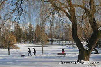 Fraser Valley could see snow on the ground this weekend