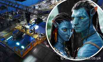 The Avatar sequel wraps filming and celebrates with its first behind-the-scenes sneak peak