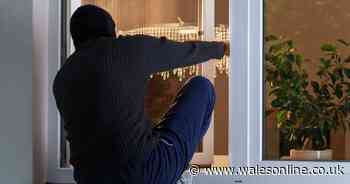 Former burglars give their advice for keeping your house safe this Christmas