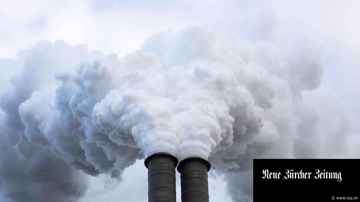 Vor der Uno-Konferenz in Madrid haben Beobachter hohe Erwartungen punkto Klimaschutz
