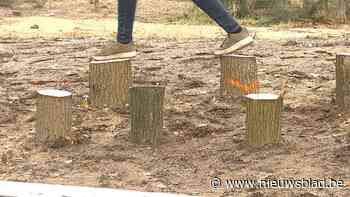 VIDEO. Primeur in Lommel: stukje wildernis in woonwijk