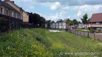 Gelderse gemeenten hebben geen plek voor extra asielzoekers